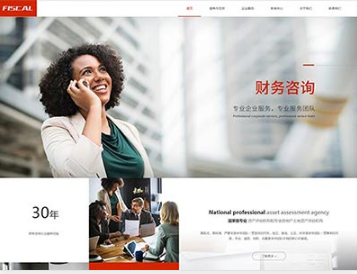 天峻金融财务